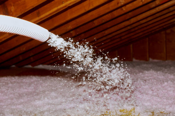 Types of Insulation We Offer in Cienega Springs, AZ