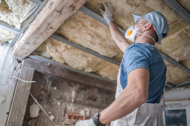 Best Blown-in Insulation in Cienega Springs, AZ