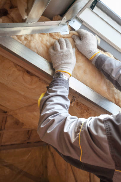 Best Fiberglass Insulation in Cienega Springs, AZ