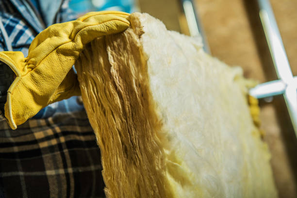 Best Eco-Friendly Insulation in Cienega Springs, AZ