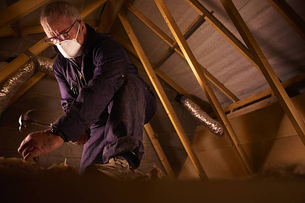 Best DIY Insulation Kits and Guidance in Cienega Springs, AZ